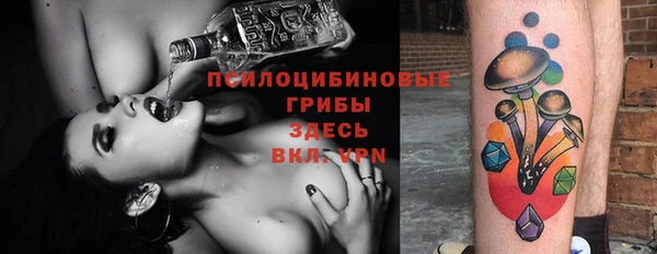 ГАЛЛЮЦИНОГЕННЫЕ ГРИБЫ Касимов