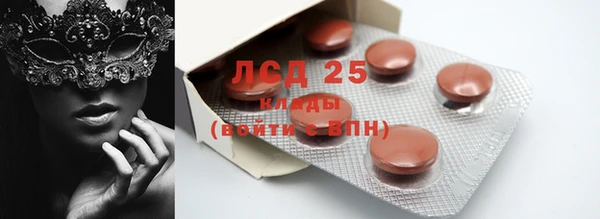 ГАЛЛЮЦИНОГЕННЫЕ ГРИБЫ Касимов
