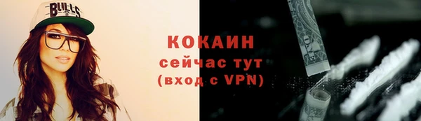 ГАЛЛЮЦИНОГЕННЫЕ ГРИБЫ Касимов