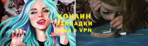 ГАЛЛЮЦИНОГЕННЫЕ ГРИБЫ Касимов